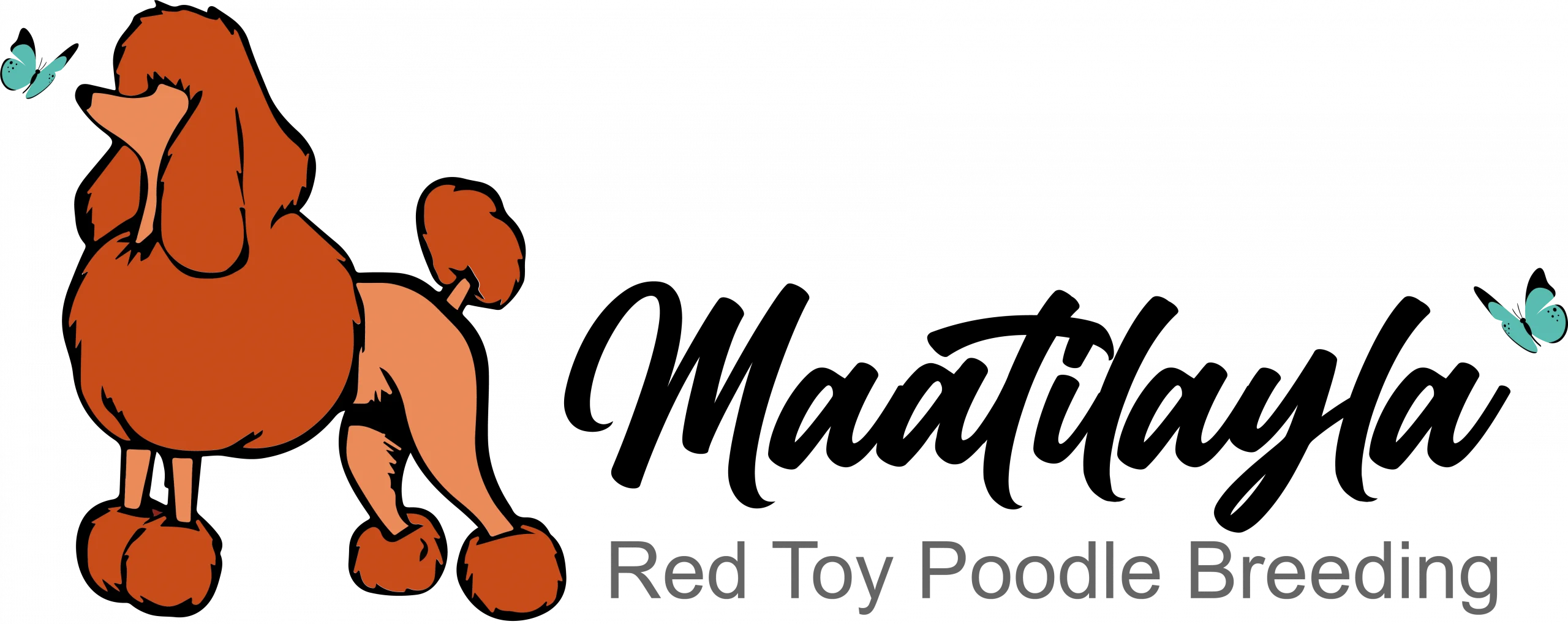 Illustrazione di un barboncino toy rosso con due farfalle blu e il testo 'Red Toy Poodle Breeding'.